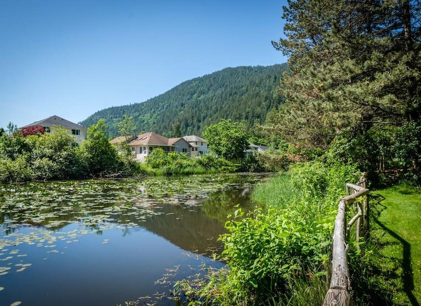 Buiten zicht Foto's