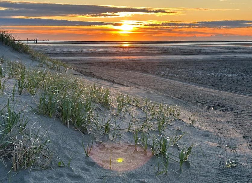 Strand Foto's